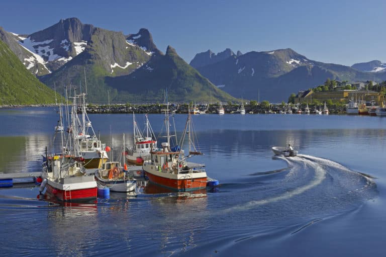 Senja island coastline with jagged mountain peaks above a sheltered fishing harbour