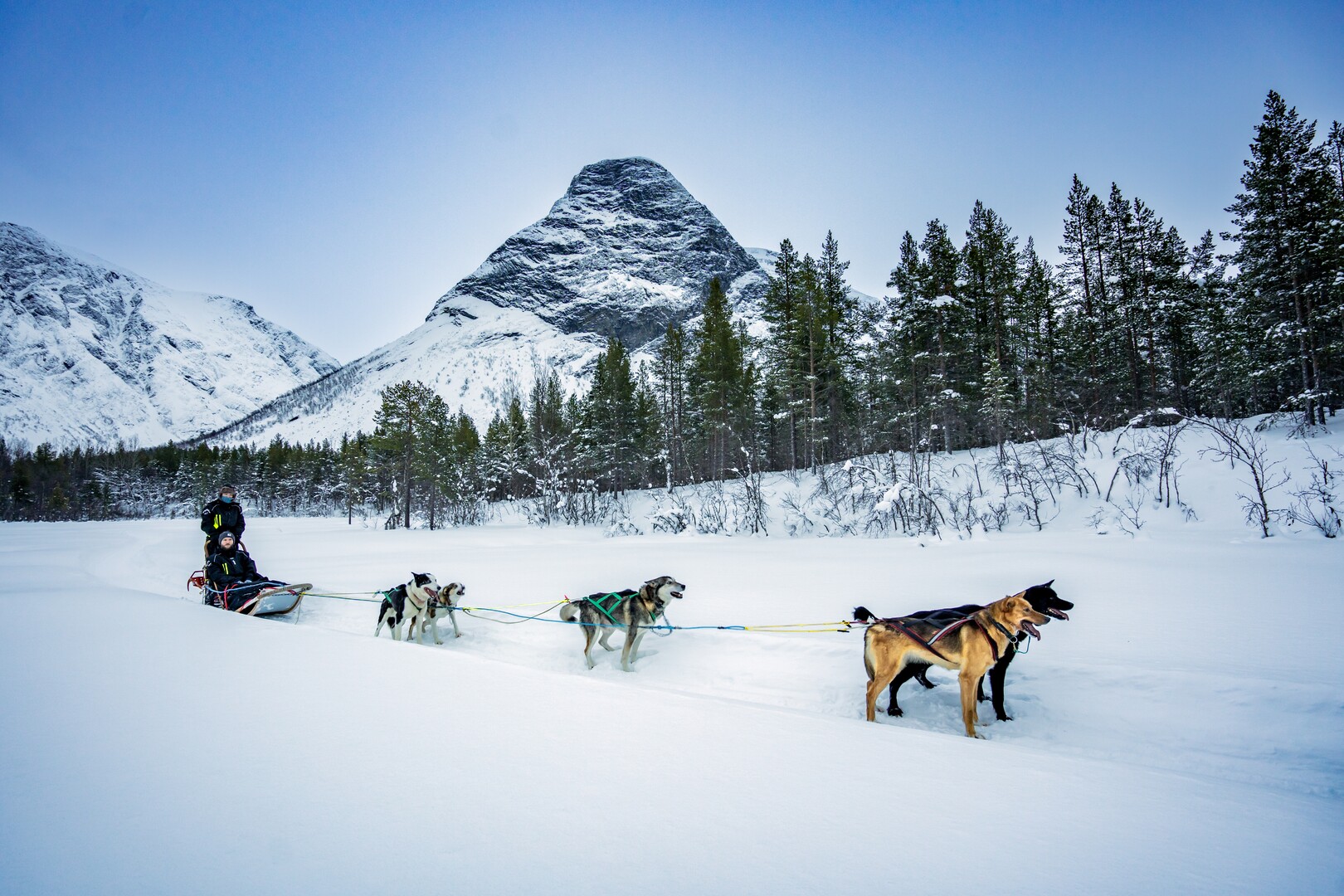A small husky team pulling a sled with one person driving on the runners and one seated passenger across a snowfield below a pointed snow-covered peak in Reisadalen, Nord-Troms