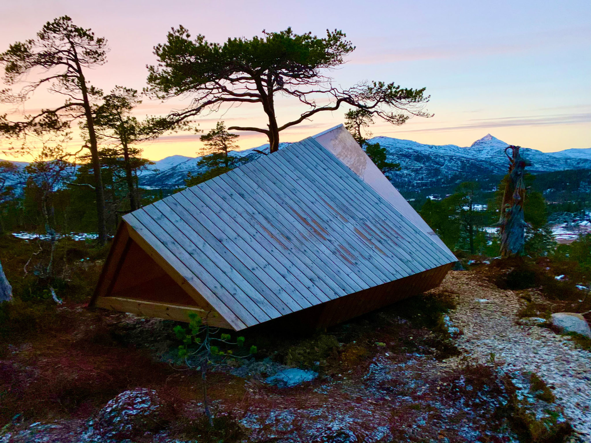 Pine forest and bog in Ånderdalen National Park, Senja
